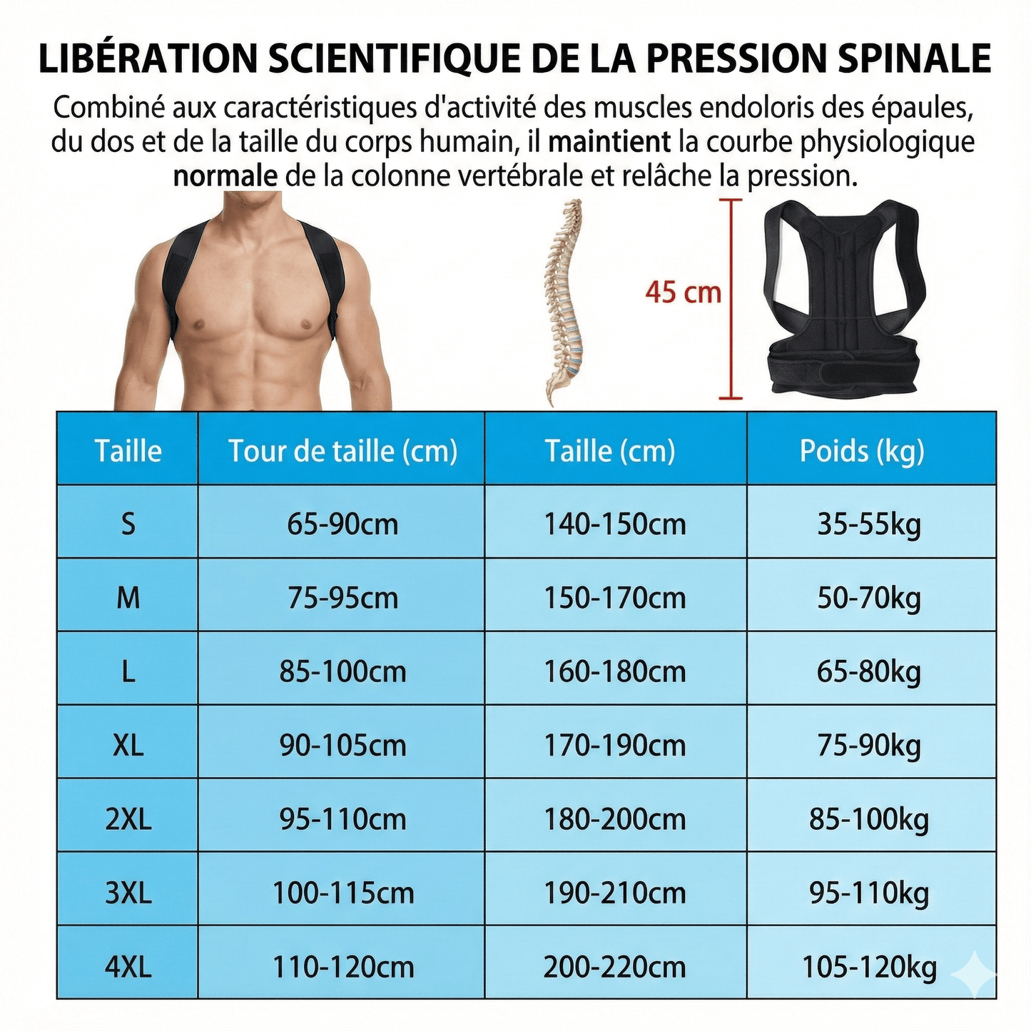 Pro-Posture CourbeParfaite : Détails sur les tailles et le soulagement de la pression spinale.