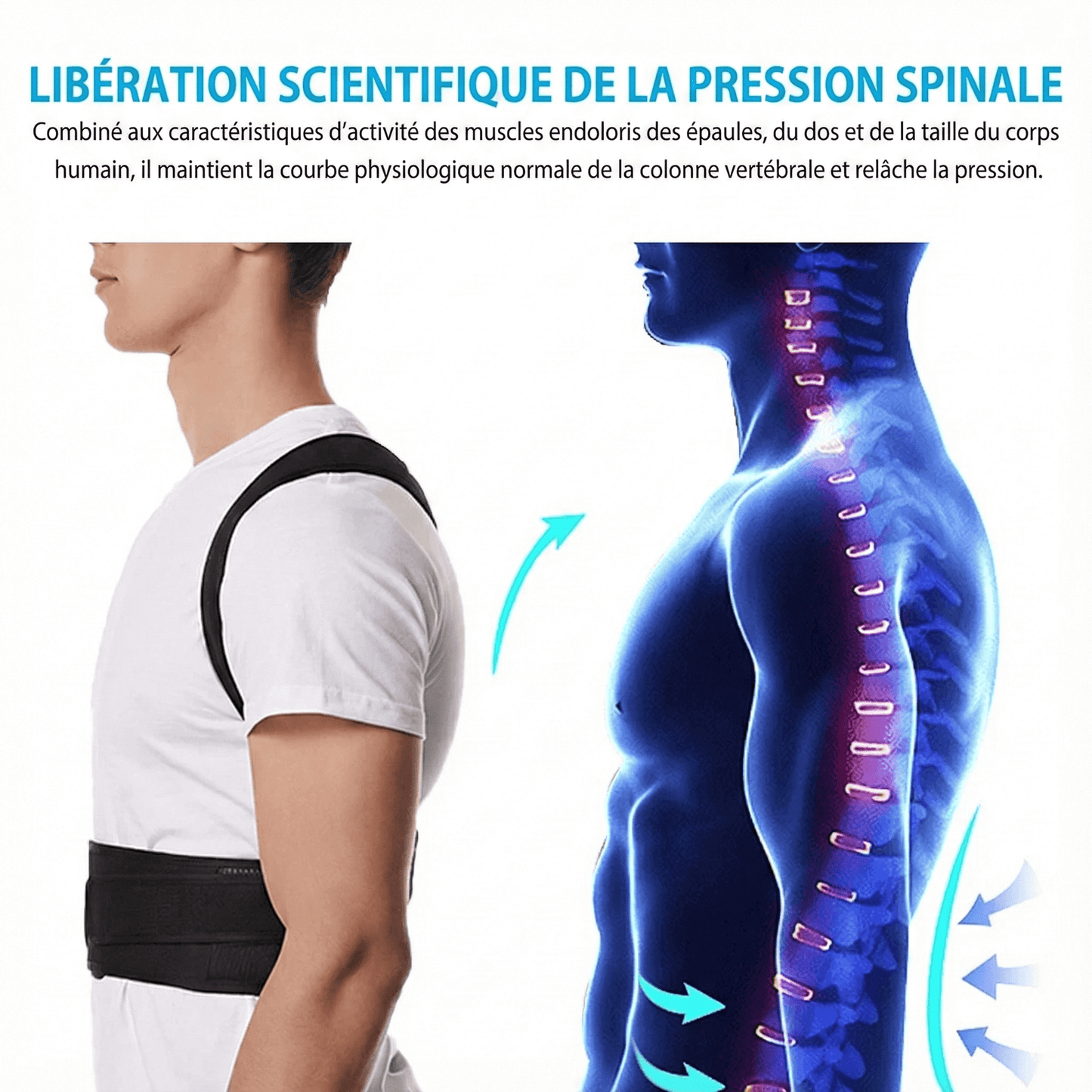 Pro-Posture CourbeParfaite : Illustre le soulagement scientifique de la pression sur la colonne vertébrale.